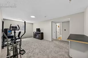560 Camrose Ct, Colorado Springs, CO 80911 - Photo 39