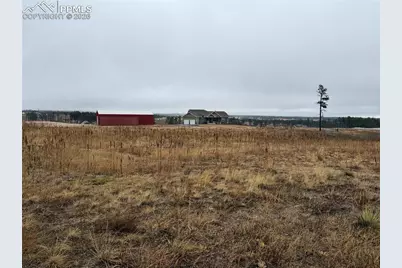 13810 Wildoak Drive, Black Forest, CO 80908 - Photo 11