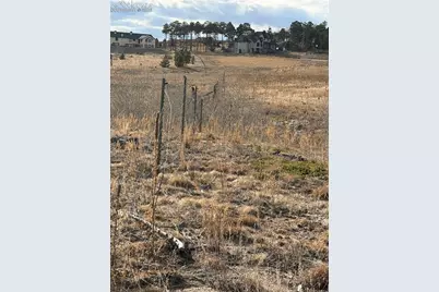 13810 Wildoak Drive, Black Forest, CO 80908 - Photo 5