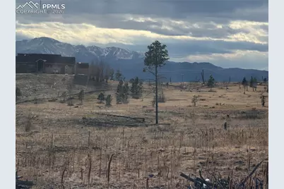 13810 Wildoak Drive, Black Forest, CO 80908 - Photo 3