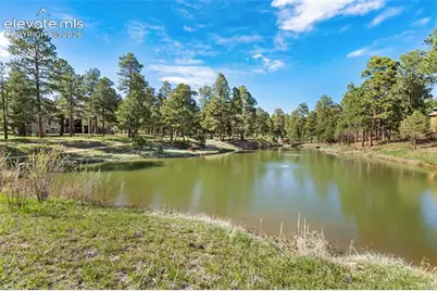 4415 Hidden Rock Road, Colorado Springs, CO 80908 - Photo 49