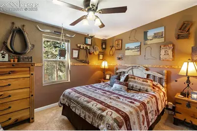 2028 Crystal Peak Drive, Lake George, CO 80827 - Photo 31