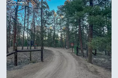 2028 Crystal Peak Drive, Lake George, CO 80827 - Photo 41