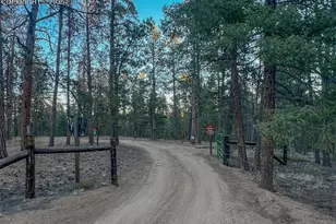 2028 Crystal Peak Dr, Lake George, CO 80827 - Photo 41