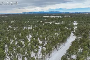 12375 Mt Shasta Dr, Elbert, CO 80106 - Photo 47