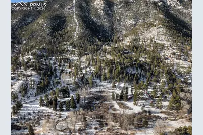 9660 Fountain Road, Cascade, CO 80809 - Photo 19