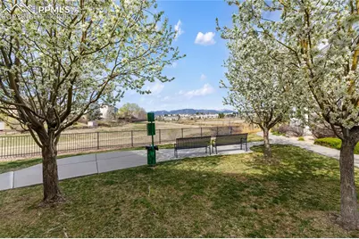 7309 Sandy Springs Point, Fountain, CO 80817 - Photo 29