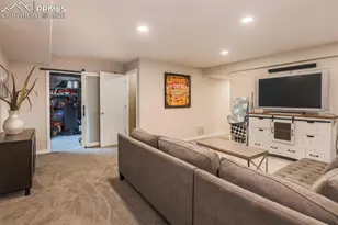 49 Misty Creek Dr, Monument, CO 80132 - Photo 29