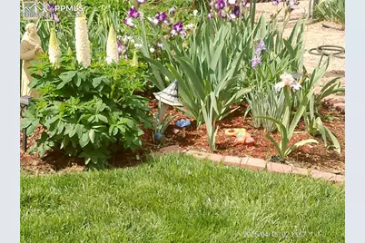 2125 Mount Werner Court, Colorado Springs, CO 80905 - Photo 35