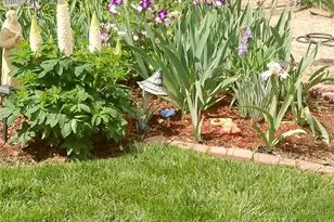 2125 Mt Werner Ct, Colorado Springs, CO 80905 - Photo 35