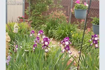 2125 Mount Werner Court, Colorado Springs, CO 80905 - Photo 37