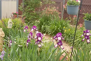 2125 Mt Werner Ct, Colorado Springs, CO 80905 - Photo 37