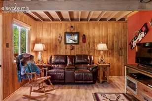 546 Pulver Rd, Lake George, CO 80827 - Photo 7