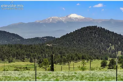 546 Pulver Road, Lake George, CO 80827 - Photo 25