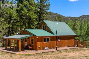 546 Pulver Rd, Lake George, CO 80827 - Photo 3