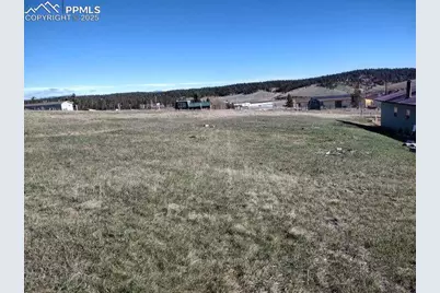 149 Will Scarlet Drive, Divide, CO 80814 - Photo 3