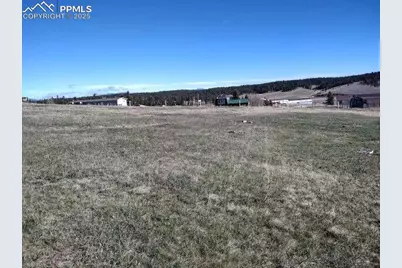 149 Will Scarlet Drive, Divide, CO 80814 - Photo 5