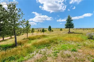 7560 Pine Cone Rd, Colorado Springs, CO 80908 - Photo 47