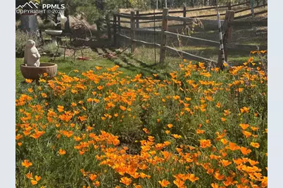 1149 Ptarmigan Drive, Woodland Park, CO 80863 - Photo 31