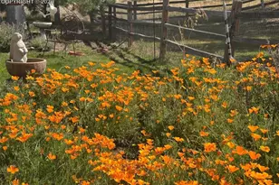 1149 Ptarmigan Dr, Woodland Park, CO 80863 - Photo 31