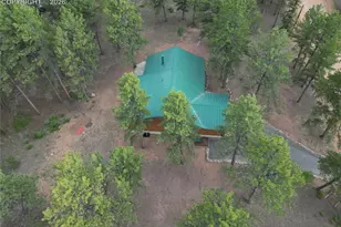 170 Druid Trail, Florissant, CO 80814 - Photo 41