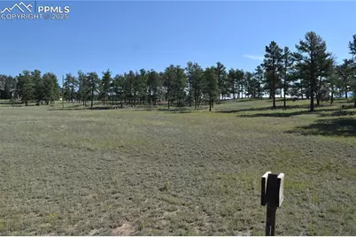 431 High Chateau Road, Florissant, CO 80816 - Photo 31