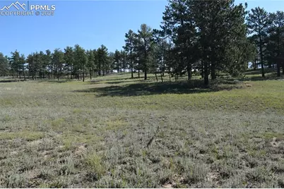 431 High Chateau Road, Florissant, CO 80816 - Photo 27