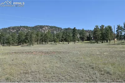 431 High Chateau Road, Florissant, CO 80816 - Photo 33