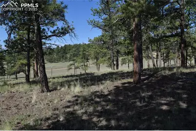 431 High Chateau Road, Florissant, CO 80816 - Photo 41