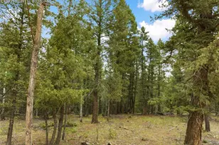 810 Ridge Rd, Divide, CO 80814 - Photo 1