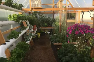 34 Fetlock Cir, Florissant, CO 80816 - Photo 41