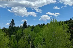 50 Dakota Ln, Woodland Park, CO 80863 - Photo 49