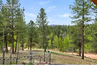 126 Aspen Circle, Divide, CO 80814 - Photo 29