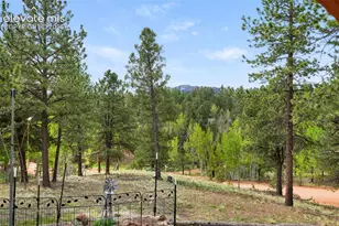 126 Aspen Cir, Divide, CO 80814 - Photo 29