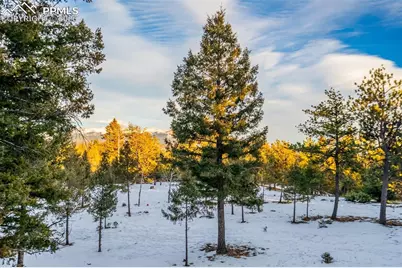 126 Rainier Drive, Florissant, CO 80816 - Photo 31