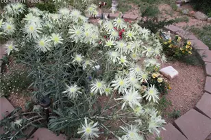 5775 N I-25, Pueblo, CO 81008 - Photo 7