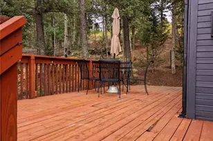 40 Flathead Ln, Woodland Park, CO 80863 - Photo 9