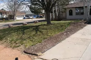 141 Kingsley Ave, Pueblo, CO 81005 - Photo 3