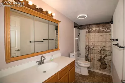 560 Oak Creek Avenue, Rockvale, CO 81244 - Photo 17