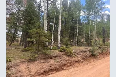 687 Trout Haven Road, Florissant, CO 80816 - Photo 1