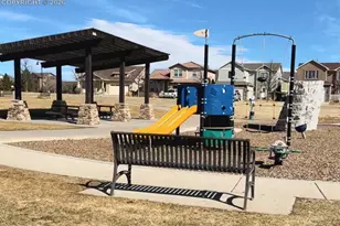 8361 Colorado Spruce Lane, Colorado Springs, CO 80927 - Photo 33