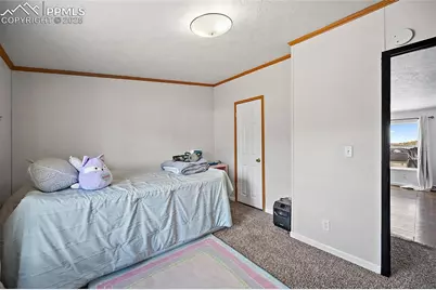 10385 Camino Grande Point, Fountain, CO 80817 - Photo 17