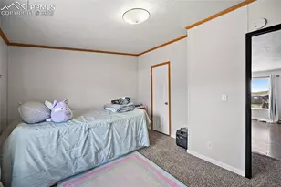 10385 Camino Grande Point, Fountain, CO 80817 - Photo 17