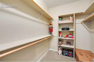 20452 Kenneth Lainer Drive, Monument, CO 80132 - Photo 29