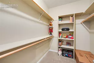 20452 Kenneth Lainer Dr, Monument, CO 80132 - Photo 29