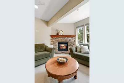 20452 Kenneth Lainer Drive, Monument, CO 80132 - Photo 25