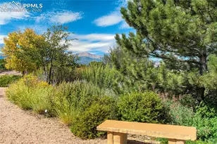 4169 Tree Crk Trl, Colorado Springs, CO 80918 - Photo 45