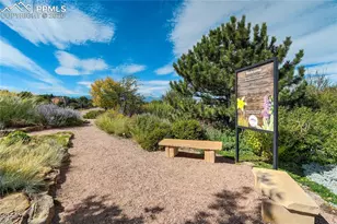 4169 Tree Crk Trl, Colorado Springs, CO 80918 - Photo 45