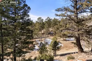 171 Star View Trail, Divide, CO 80814 - Photo 25