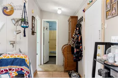 171 Star View Trail, Divide, CO 80814 - Photo 11